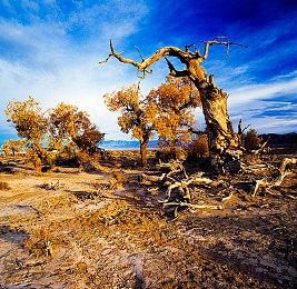 IGN：《星空》像是Xbox自我救赎的最后一次机会